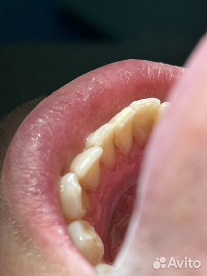 Врач гигиенист