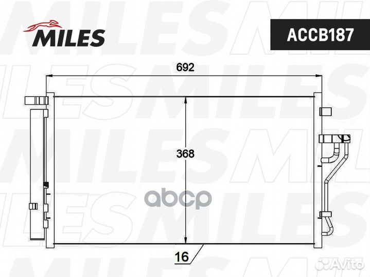 Accb187 accb187 Miles