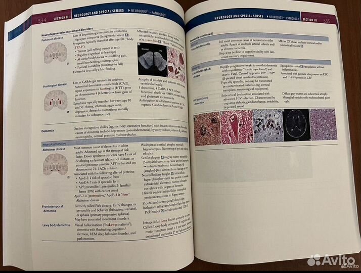 Usmle step 1