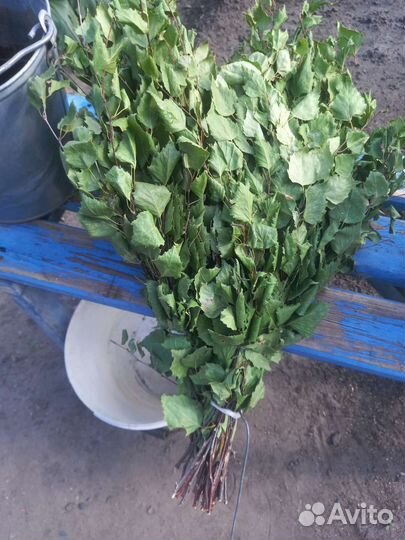 Веники для бани берёзовый