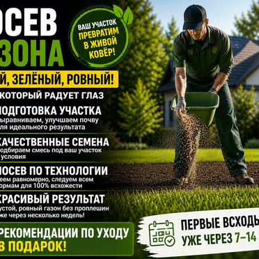 Посадка газона