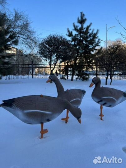 Чучела гусей 10 штук