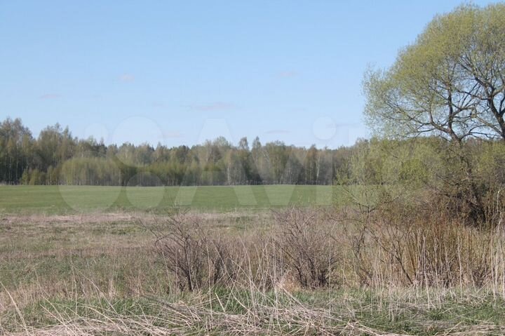 Участок 5,6 га (СНТ, ДНП)