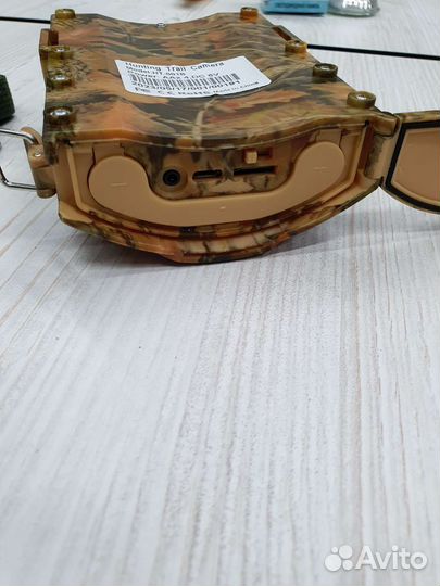 Новая фотоловушка Филин