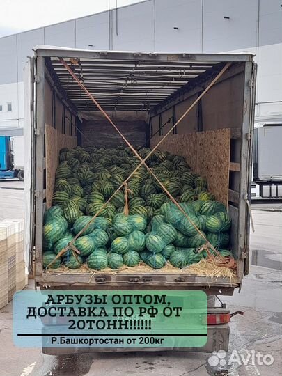 Арбузы с доставкой опт от 20 тонн