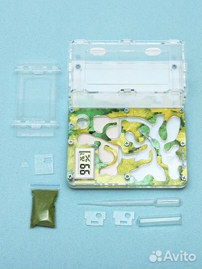 Муравьиная Ферма Стандарт с гигрометром