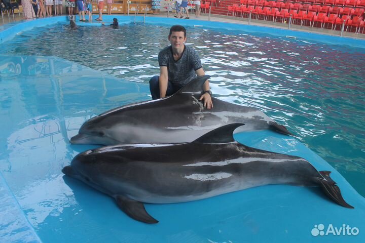 Уход за животными