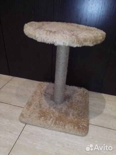 Когтеточка