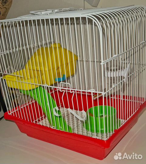 Клетка для грызунов