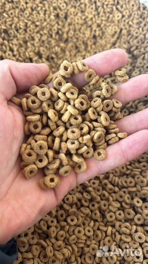 Корм для собак супер премиум