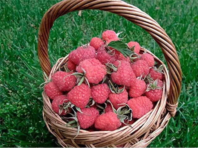 Дом 68 м² на участке 28,2 сот.