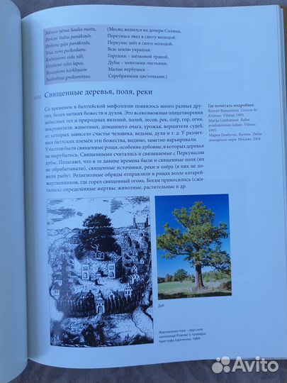 Откуда родом литовцы Автор Зинкявичюс, Зигмас и др