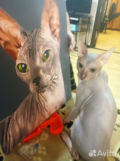 Сфинкс вязка