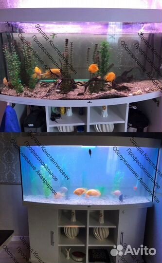 Обслуживание Аквариума Чистка Аквариума