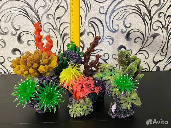 Коралл для аквариума