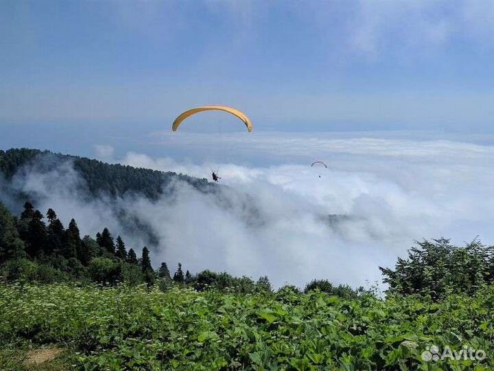 Выше облаков в Абхазии