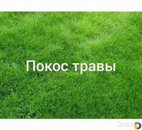 Покос травы триммером, стрижка газона