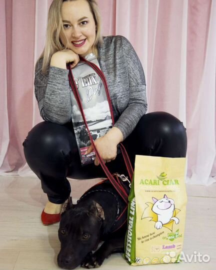 Корм для собак и кошек