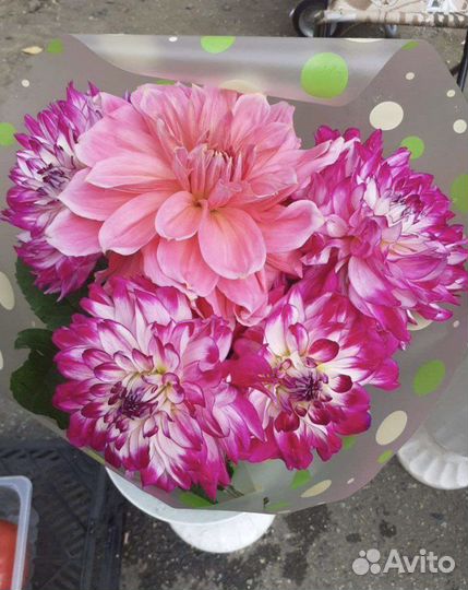 Продаю луковицы гладиолусов и клубни георгинов