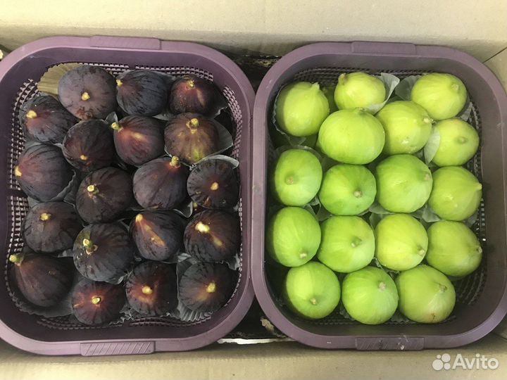 Свежий инжир из Армении (только авиа) регион мегри