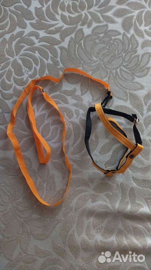 Носочки для собак