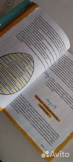 Книга мифоеды Ю. Плискина