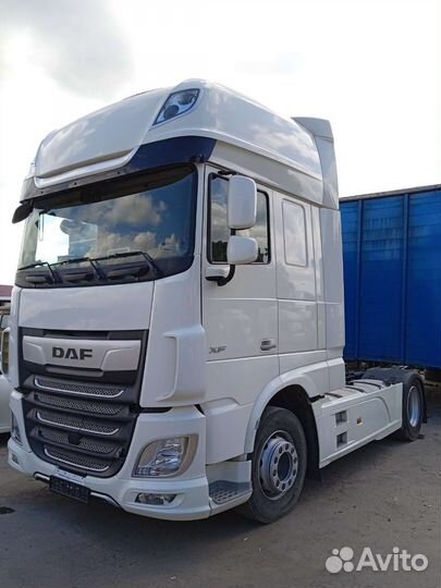 DAF XF 480, 2019