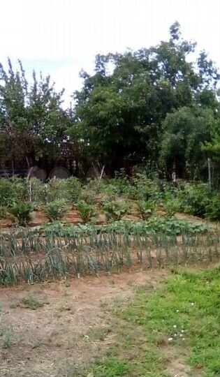 Участок 6,2 сот. (СНТ, ДНП)