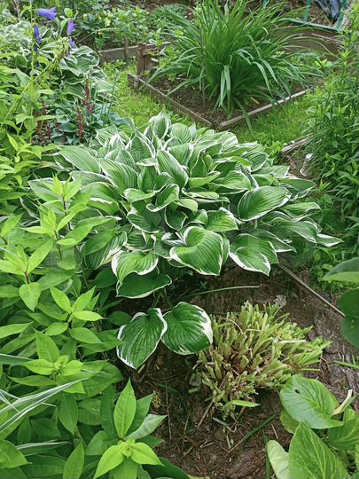 Дом 30 м² на участке 6 сот.