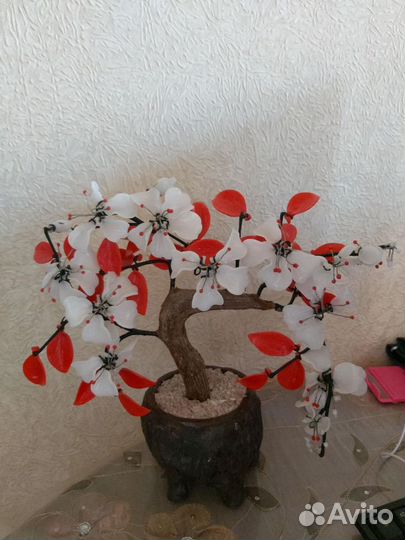 Сувенир сакура