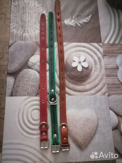 Ошейники для собаки