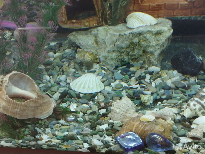 Аквариум 200л