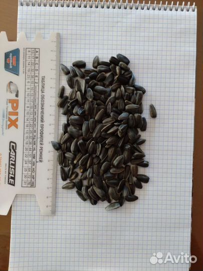 Подсолнечник спк