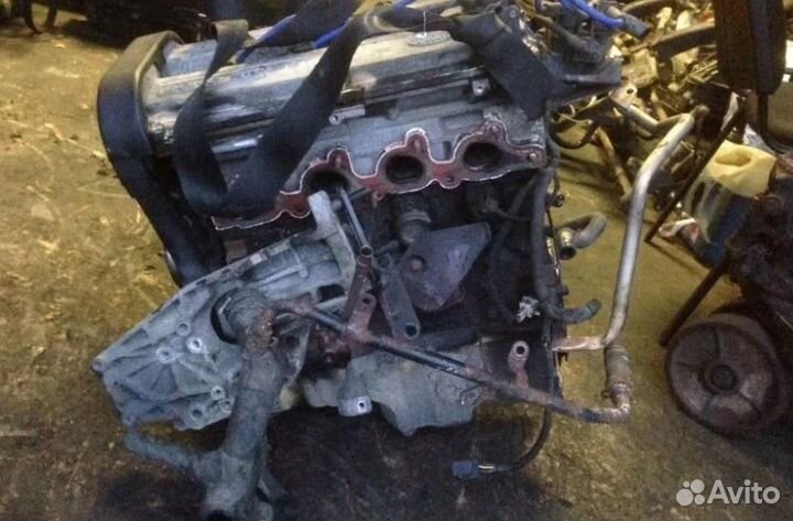 Двигатель Ford L1NX 1,6 двс б.у контрактный