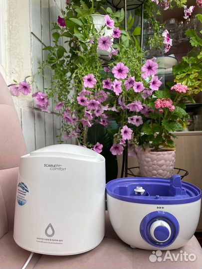 Увлажнитель Scarlett