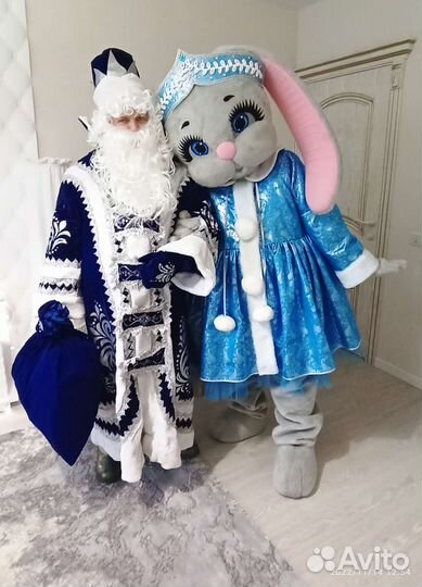 Дед Мороз на дом