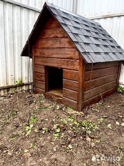 Вольер с будкой