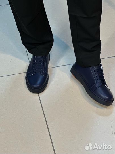 Кеды мужские santoni чёткие на ногах