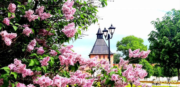 Экскурсии по Туле