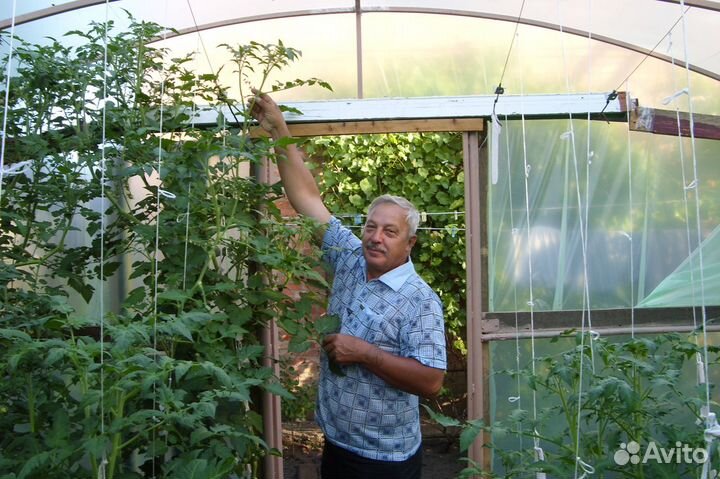 Требуется пенсионеру помощник по хозяйству