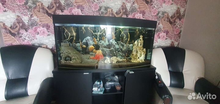 Аквариум с тумбой 300л