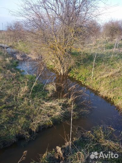 Приму грунт