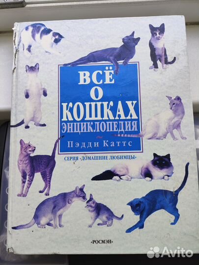 Энциклопедия 