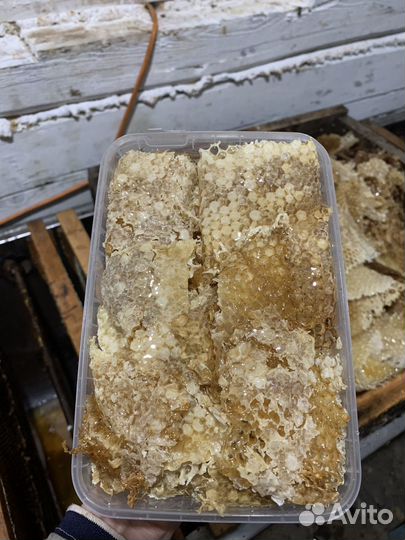 Пчелопродукты