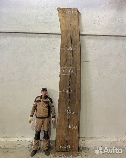 Слэб ясень от производителя