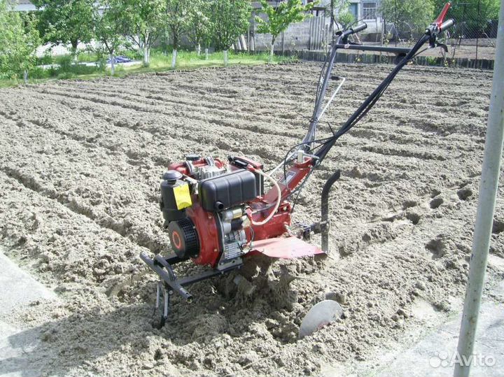 Пашу мотокультиватором