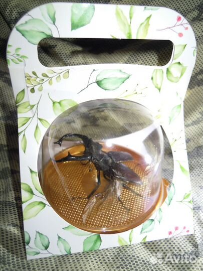 Сувенир для авито-доставки