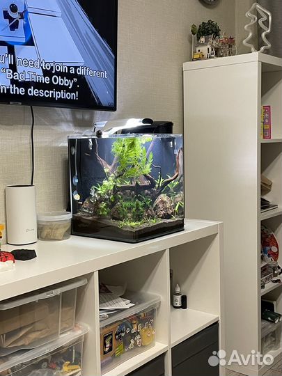 Аквариум cube