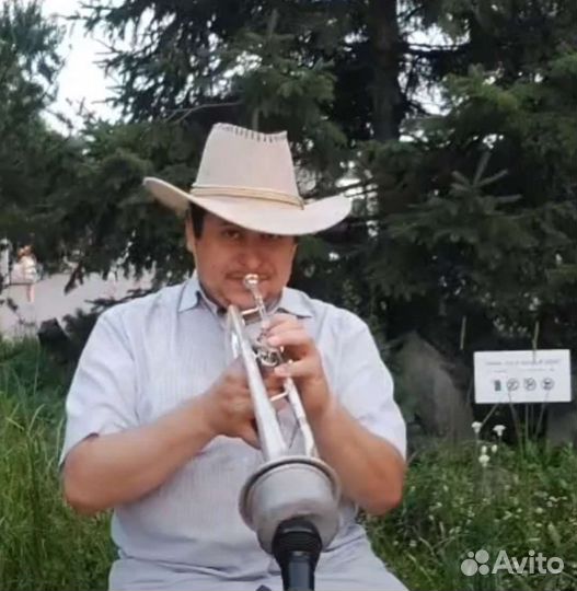 Живая Музыка