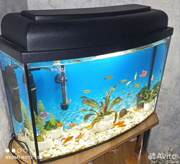 Аквариум с рыбками